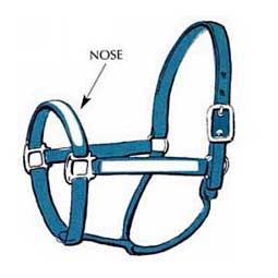 Nose : Yes