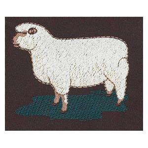 Shropshire Sheep (HR0534)