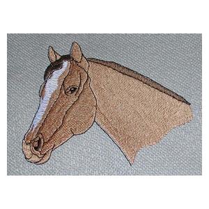 Quarter Horse (HR0348)