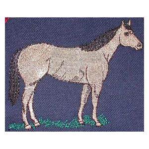 Full Body Horse
