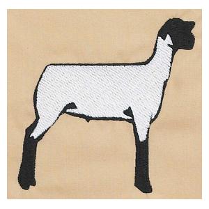 Show Lamb