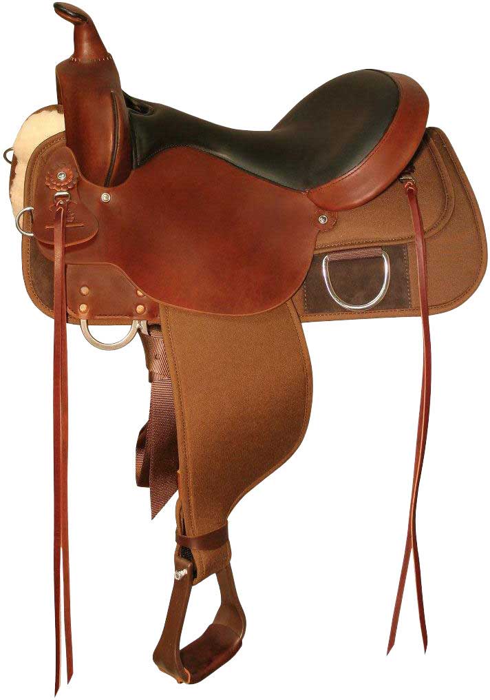 saddles cordura lockhart thoroughbred registry reorder